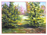 Alberi a S. Cristina di Quinto